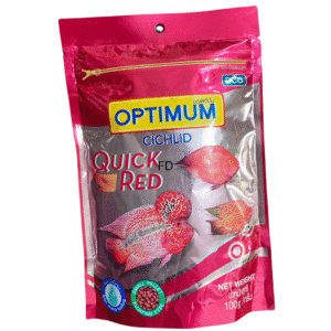 OPTIMUM CICHID