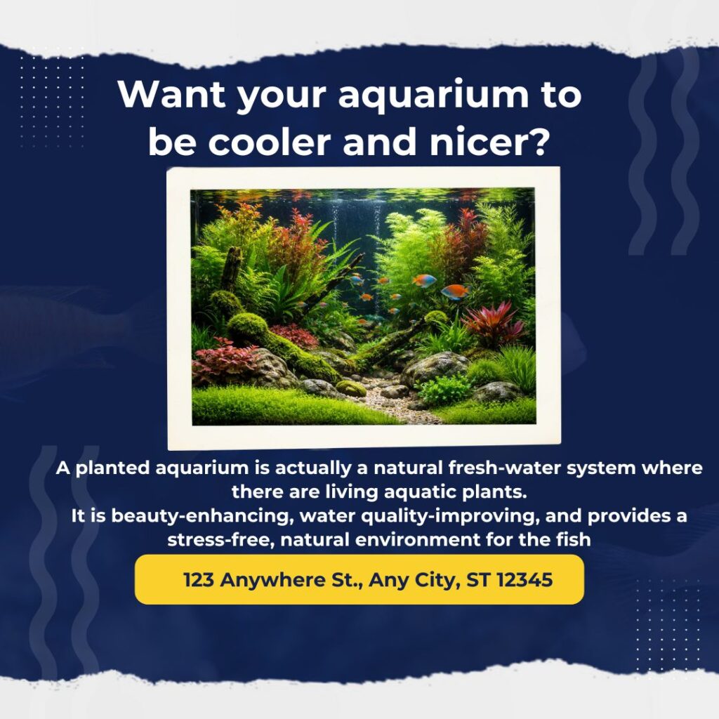 Kushalaquarium.com (3)