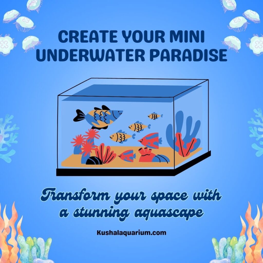 Kushalaquarium.com (4)